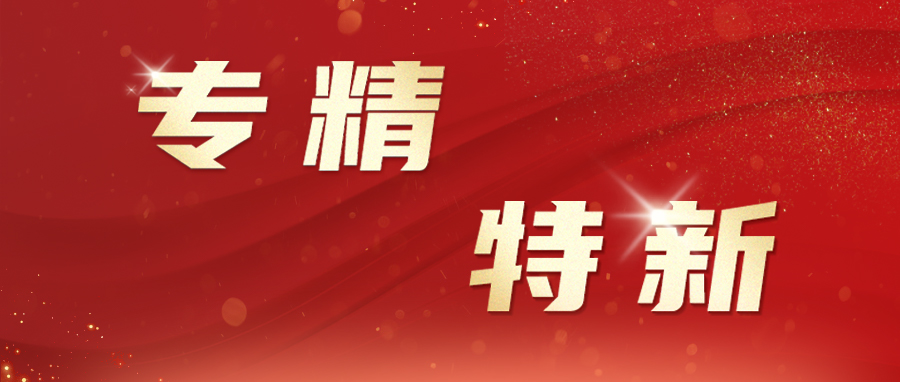 创新引领,荣登2023浙江专精特新中小企业之巅