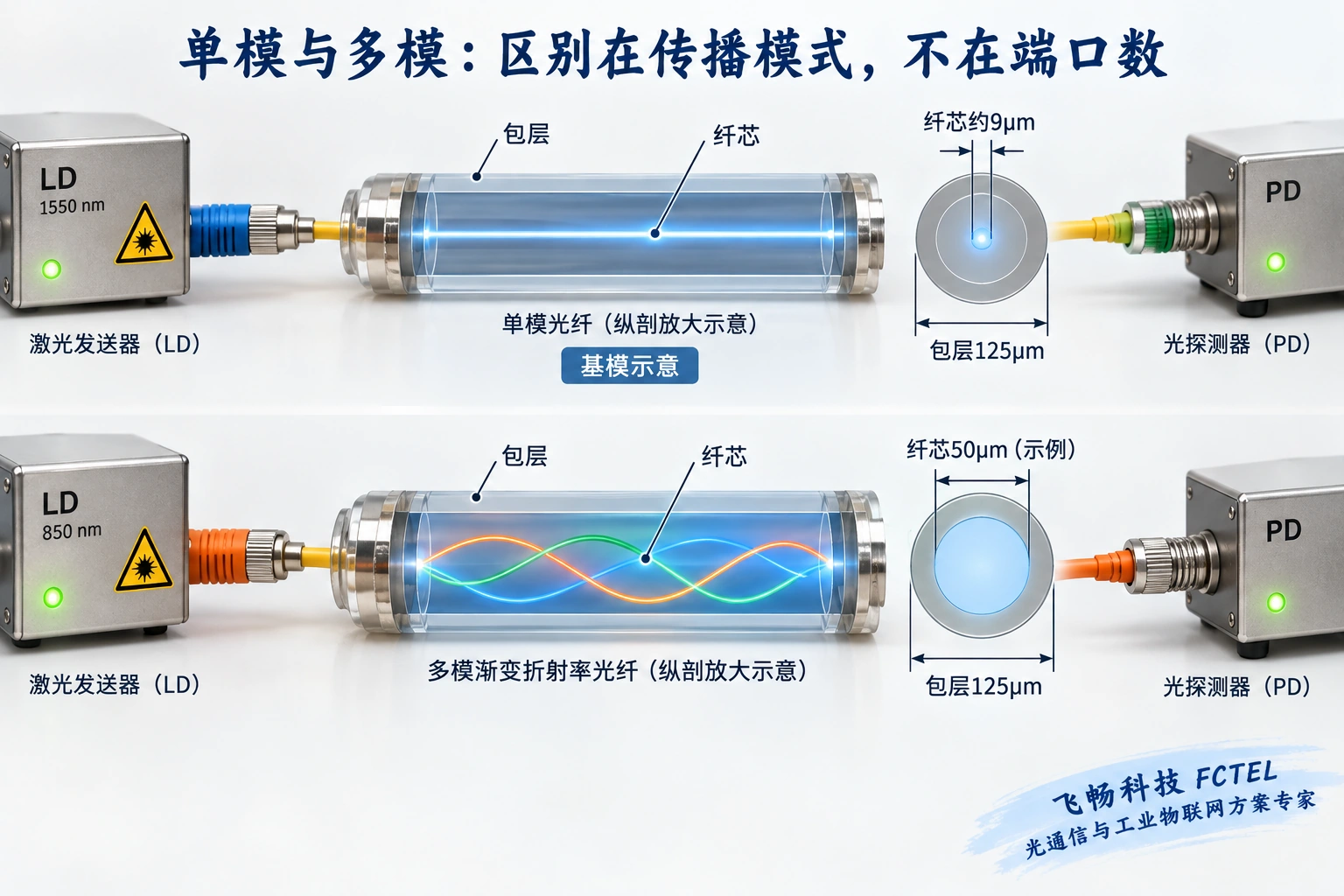 放大的单模和多模光纤截面与导光路径,区分纤芯包层和空间模式